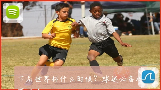 下届世界杯什么时候？球迷必备观赛指南